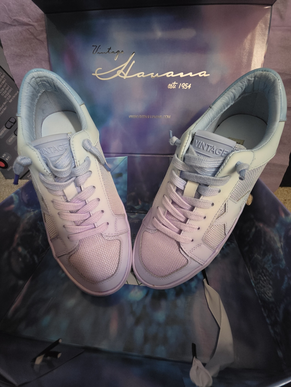 Vintage Havana Double Dip Sky Blue And Purple Size 8 Great Condition